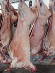 уй эти баасы бишкек: 🥩 Поступило свежее мясо — баранина и ягнята, всё халяль. Мягкое — 2