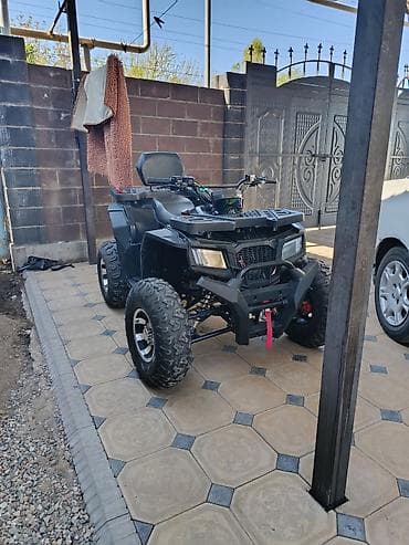 Квадроцикл Бензин, 200 куб. см, Взрослый