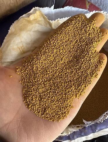 навоз конский: Семена кормовых растений: Люцерна — 3