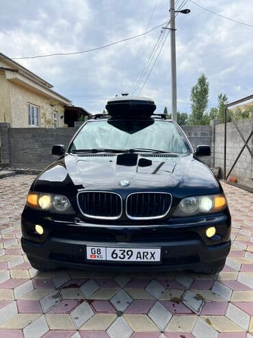 BMW X5: 2006 г., 3 л, Автомат, Бензин