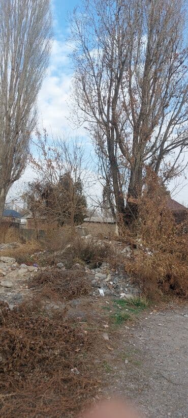 возьму породистого щенка бесплатно: Срочно бекер.Отунга Терек берилет кыйып кеткиле.адрес Красная речка — 6