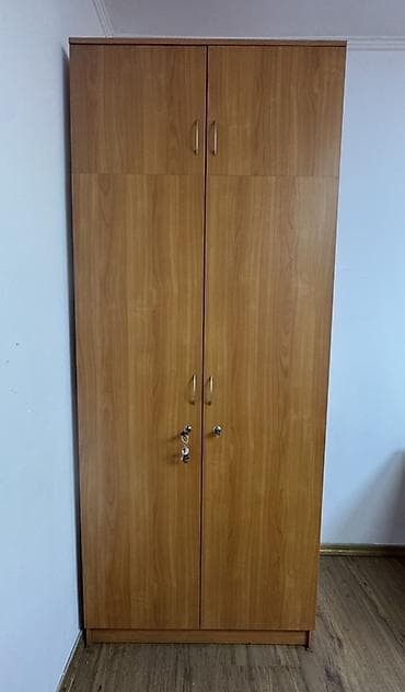 Терезелер жана комплектөөчүлөр: Кеңсе үчүн шкаф, Колдонулган, ЛДСП — 1