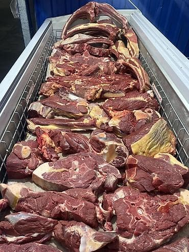 Тай эти дун жана чекене бардык турлору бар устукан тойлордуу тейлоо