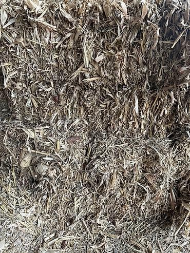 Животные: Есть 30 шт Измельченные стебли кукурузы, представляющие собой сухую — 1