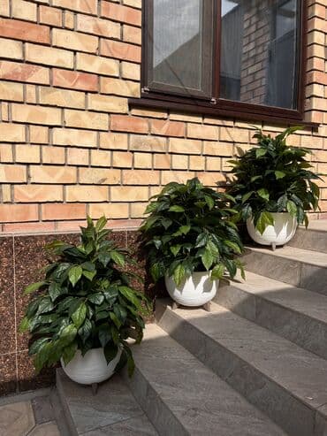 шкаф для одежды новый: 🌿 Мы — Mayram Decor KG, ваш надежный партнёр в создании эффектных и — 31