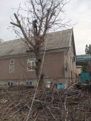 прайс лист на отделочные работы бишкек 2024 год: Кара-балта!!! Пилю Дрова Спил дров Колим дрова отун аралайбызбак — 15