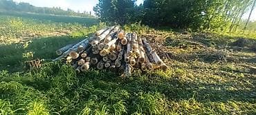 газон футбольный цена: Дрова Тополь — 2