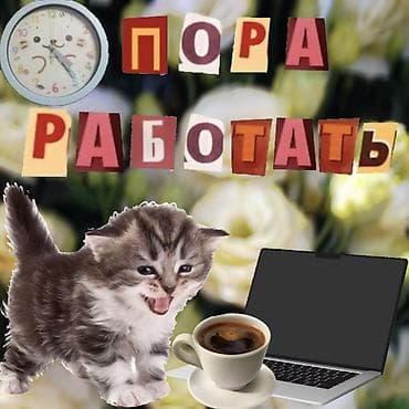 выездная сварка: ИЩУ РАБОТУ! подросток лет 14. помощь с выгулом собак/раздача — 1