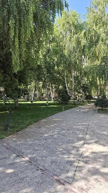 на берегу: Сдаётся 1комнатная просторная и уютная квартира в центре отдыха "Asia — 4