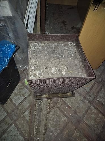 4 pot: Продаётся цветочный горшок.Высота 40см Глубина 38 на 38. Цена 1000с — 1