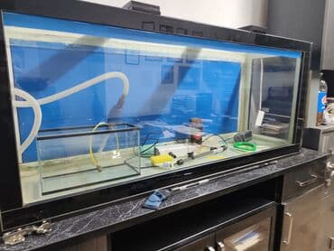 Просторный аквариум панорамного типа с чёрной рамой. - Прямоугольная