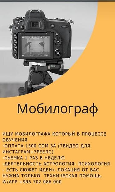 Развлечения, спорт: Фотограф, видеооператор — 1