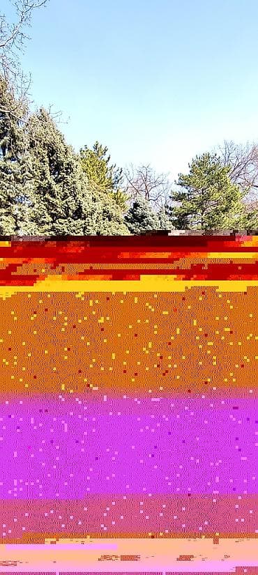 l9 pro: Kia K5: 2016 г., 2 л, Автомат, Газ, Седан — 4