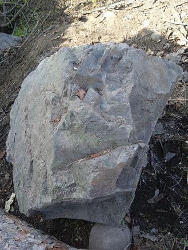 цена искусственного газона: Продаю камни разные. цена договорная. Только то, что на фото Теги — 2