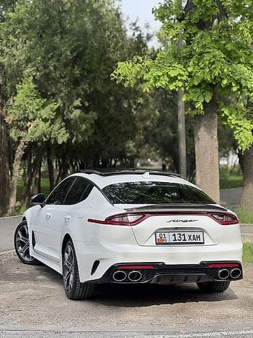 мотор на сапок: Kia Stinger: 2019 г., 2 л, Автомат, Бензин, Лифтбек — 9