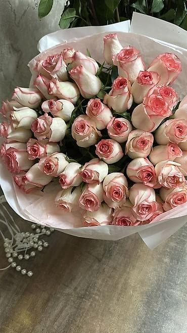 Букет из роз сорта «Пинк Эдж» (бело‑розовые бутоны с нежной розовой