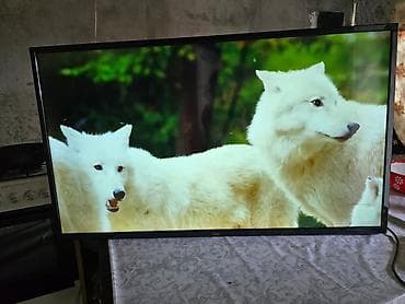 стенный телевизор: LED HDTV 50 - Диагональ около 45" (визуально). - LED-подсветка, яркое — 3