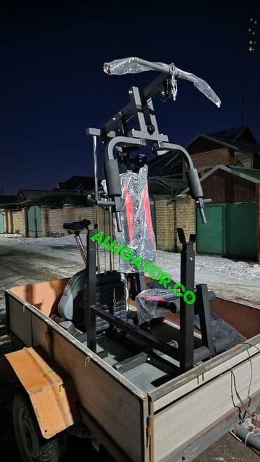 турник брусья шведская стенка для дома: Силовой тренажер, Мультистанция, Новый, Платная доставка, Самовывоз — 1