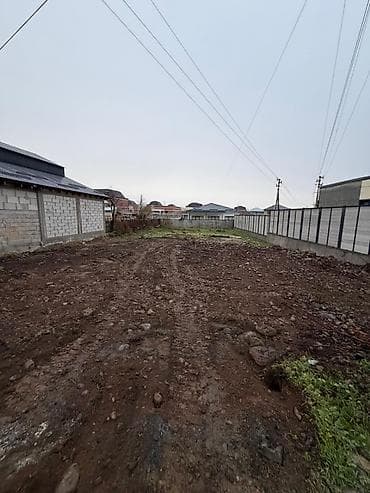 ысык куле: 4 соток, Курулуш, Кызыл китеп — 4