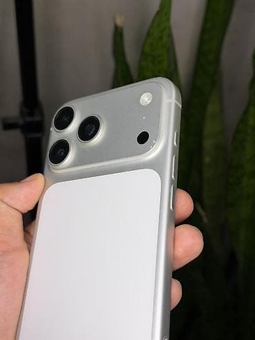 beeline sim: IPhone 17 Pro Max, Б/у, 256 ГБ, Серебристый, 100 % — 3