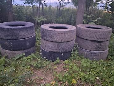 w210 2 2: Шины 315 / 70 / R 22,5, Комплект, Грузовики/Автобусы, Япония, Bridgestone — 1