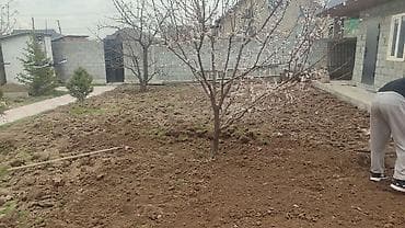 Стирка ковров: Уборка территории, Уборка двора и сада — 1