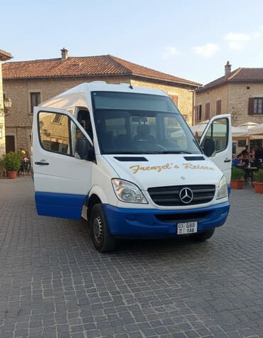 Автобус, Mercedes-Benz, 2008 г., 2.2 л, до 15 мест