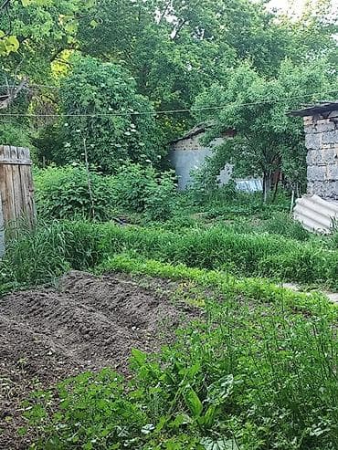 мобильные дом: Дом с большим участком и хозяйственными постройками - Одноэтажный дом — 3