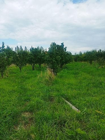 вагон сатам: 47 соток, Айыл чарба үчүн — 3