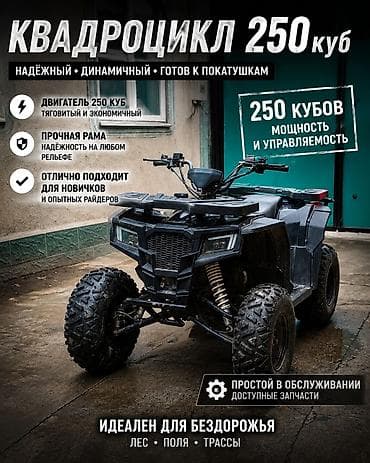 Квадроциклдер: Квадроцикл 250 куб цена окончательная. - Двигатель 250 см³ — — 1