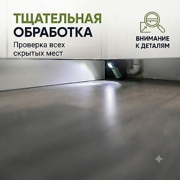 Клининговые услуги: Дезинфекция, дезинсекция, | Тараканы, | Квартиры, Дома, Кафе, магазины — 4