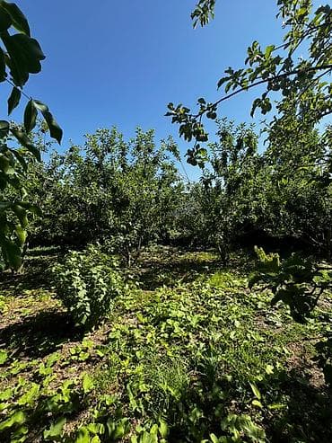 Земельные участки: 6 соток, Для строительства, Договор купли-продажи — 3