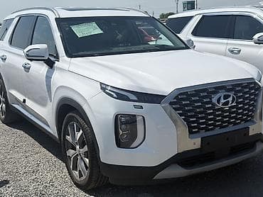 199 контур: Hyundai Palisade: 2019 г., 2.2 л, Дизель, Кроссовер — 2