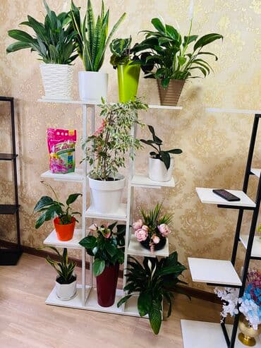 купить подставка для цветов: Кашпо,цветочные горшки,цветочные — 28