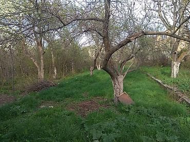 радуга котедж: Продается Дача Быстроток, не доезжая с.Кун Туу, примерный ориентир — 3