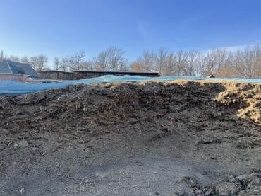 продажа кормов для сельскохозяйственных животных: Продам Силос корм для КРС 
РОССЫПЬЮ 7 СОМ ЗА КИЛОГРАММ — 4