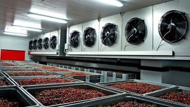 телевизор не рабочий: Расчет, монтаж/демонтаж промышленного холодильного оборудования для — 5