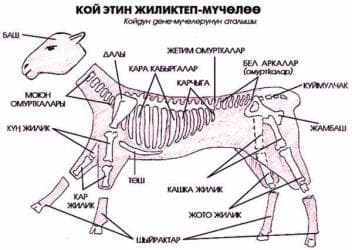 мясо с доставкой бишкек: Касапчы. (мясник). мал сойуу. станок. кой, жылкы, уй, бодо мал сою — 1