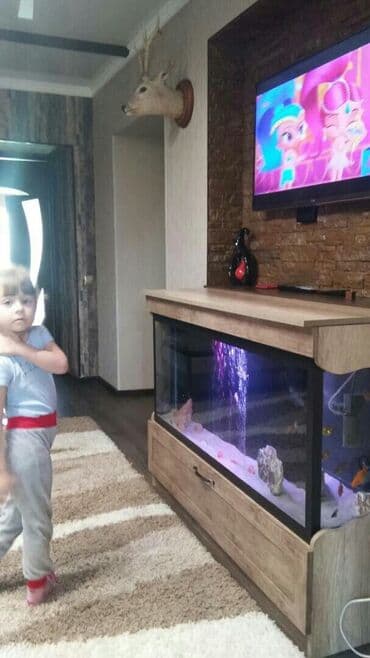 африканские сом малек: Аквариумы вашей мечты! Malawi aqua design подарите себе и детям — 5