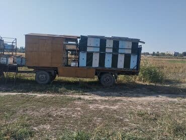 дом машина: Пчелоплатформа/ павильон, по документам платформа, павильон можно — 1