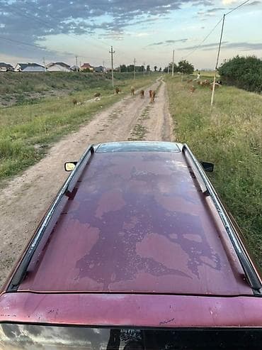 transporter multivan: Volkswagen Golf: 1994 г., 1.8 л, Механика, Бензин, Универсал — 3