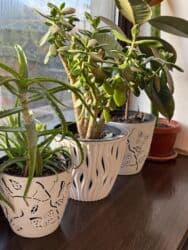 кухонные буфет бу: Ашкана үстөлү жана отургуч, Колдонулган, Өзү алып кетүү, түсү - Күрөң — 4