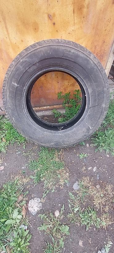 1шина на запаску мерседес рекс r16 235 65 в хорошем состоянии at lalafo.kg 1шина на запаску мерседес рекс r16 235 65 в хорошем состоянии
