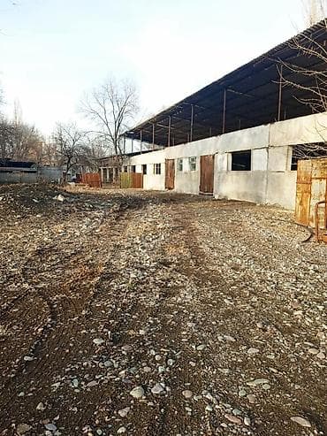 село петровка: Продается производственная база с фермой свинарником — 2