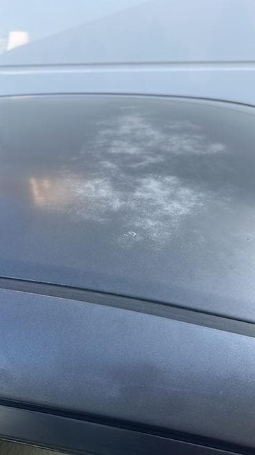 coroll: Toyota Corolla: 2009 г., 1.8 л, Автомат, Газ, Седан — 10