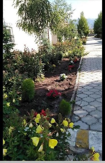 отдых на иссык куле с детьми: ✨ Премиальный коттедж на побережье Иссык-Куля в Чолпон-Ате ✨ — 7