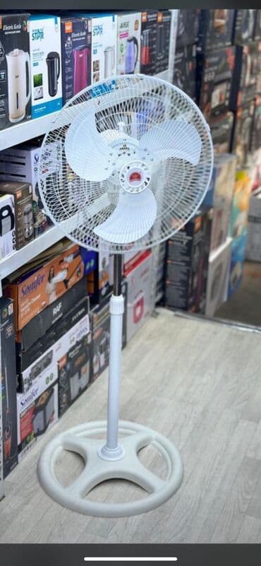 винтилятор ош: Желдеткич Канаттары менен — 4