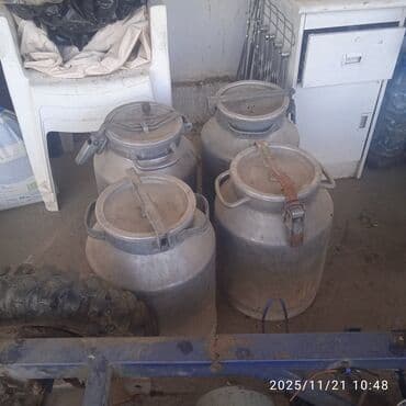 щетка для уборки: Алюминиевые молочные фляги с крышками-зажимами - Количество: 4 шт. - — 10