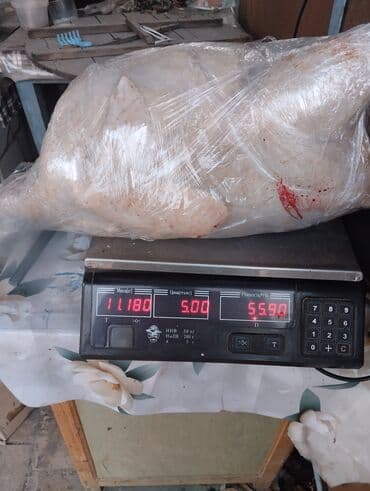 домашние жумуртка: Күрп :, 10 кг ашык — 3