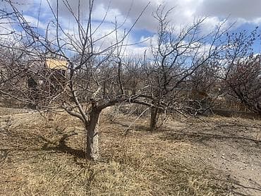 купить вагон дом бу: 4500 соток, Для сельского хозяйства, Договор купли-продажи, Тех паспорт — 6